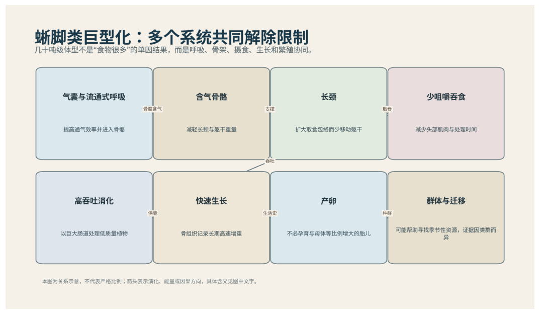 图 41-1　蜥脚类巨型化来自呼吸、骨骼、摄食与繁殖的组合。