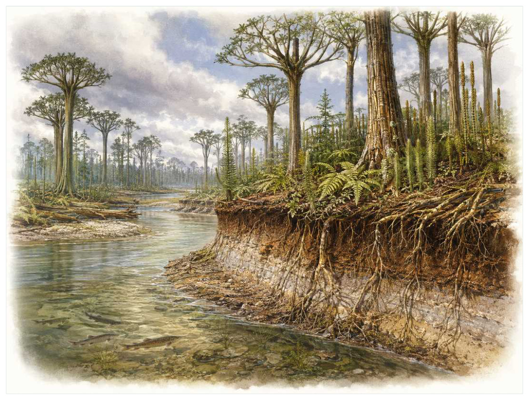 第一批森林：植物怎样重写河流、土壤与气候 · 本章科学复原配图